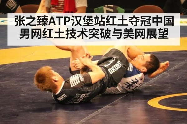 张之臻ATP汉堡站红土夺冠中国男网红土技术突破与美网展望